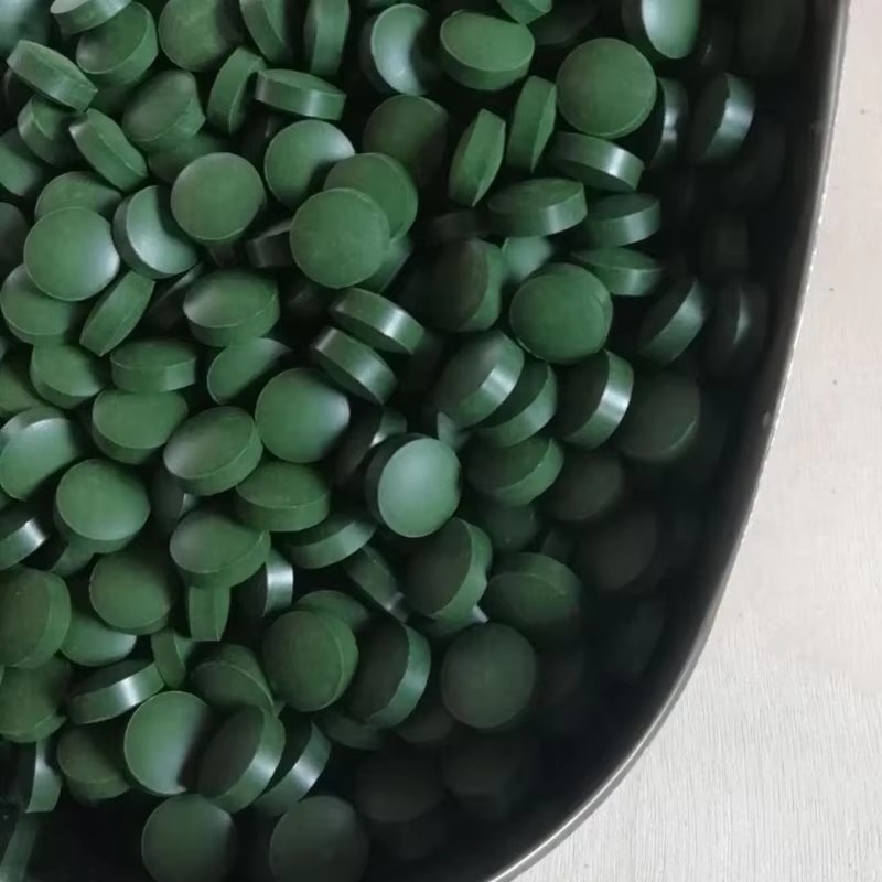 Aquarium Fish Holiday Food - 100-3000pc comprimés de spiruline de haute