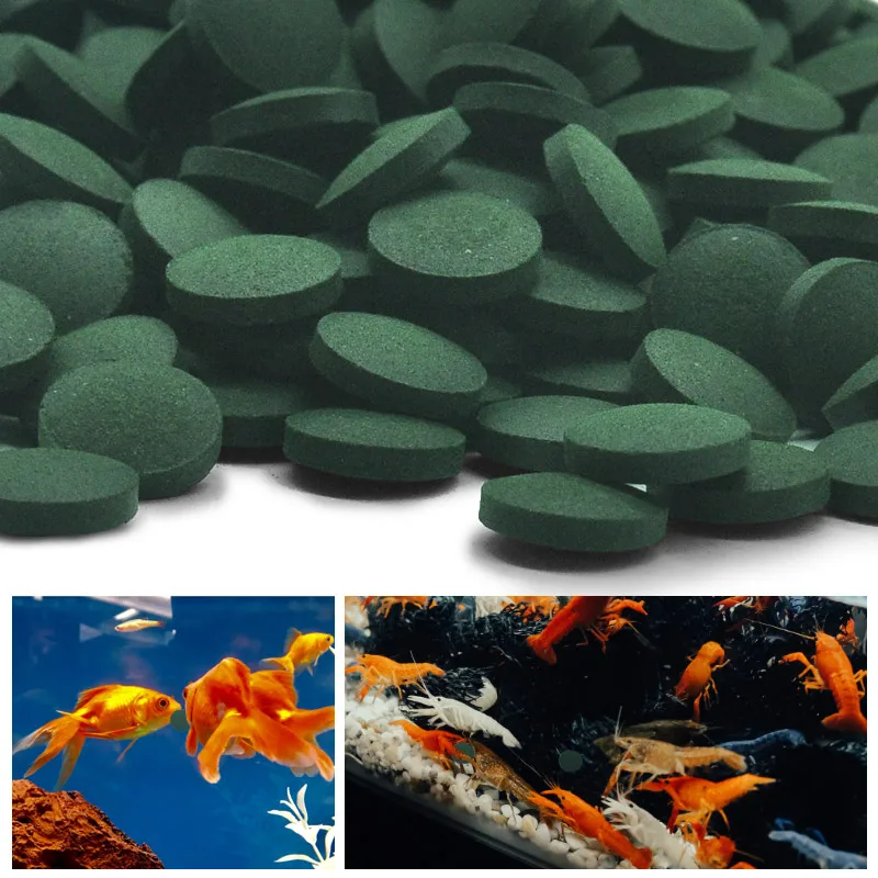 Aquarium Fish Holiday Food - 100 pièces comprimés de spiruline de