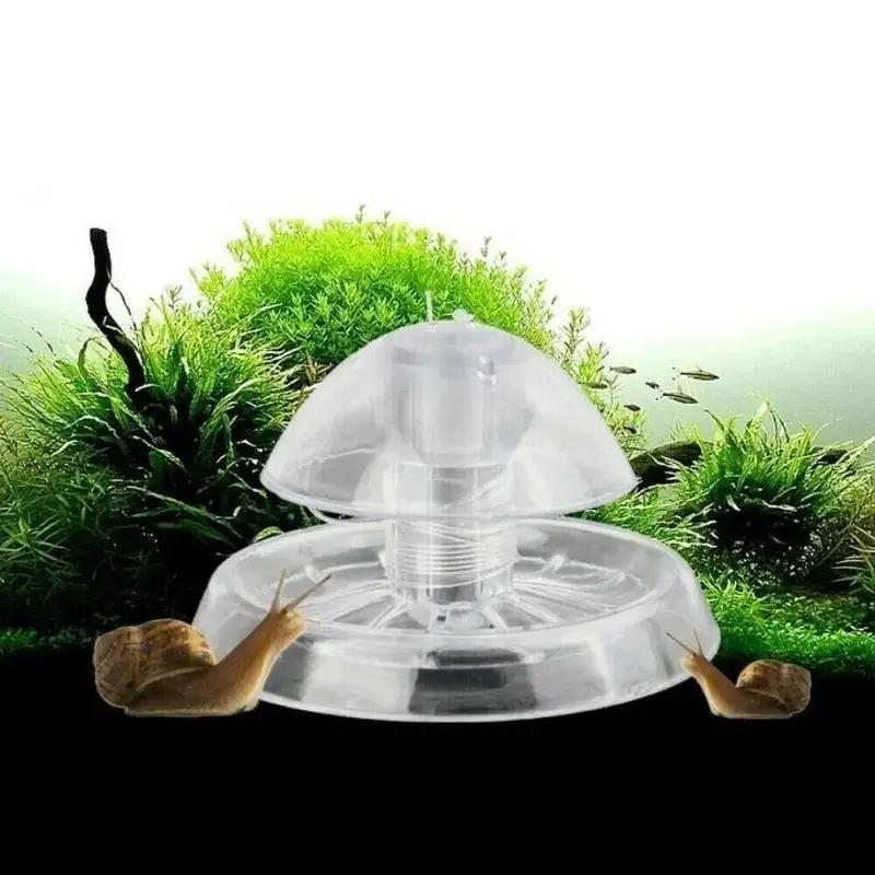Box Fish In Aquarium - Nouvelle boîte piège à escargots en