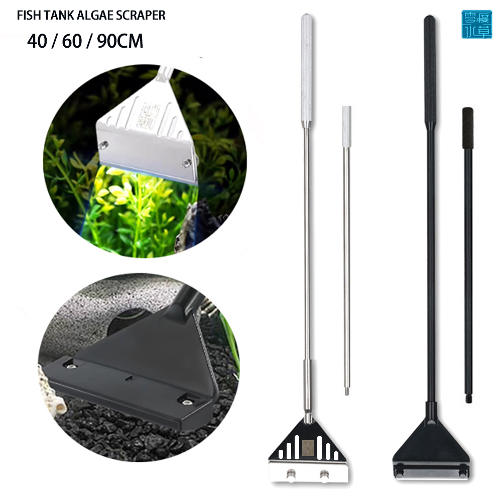 Algae Scraper Blade - Grattoir à algues en acier inoxydable