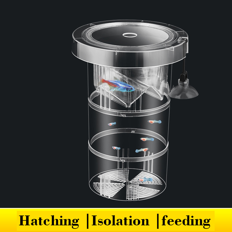 Box Fish In Aquarium - Boîte d'isolation flottante pour élevage de