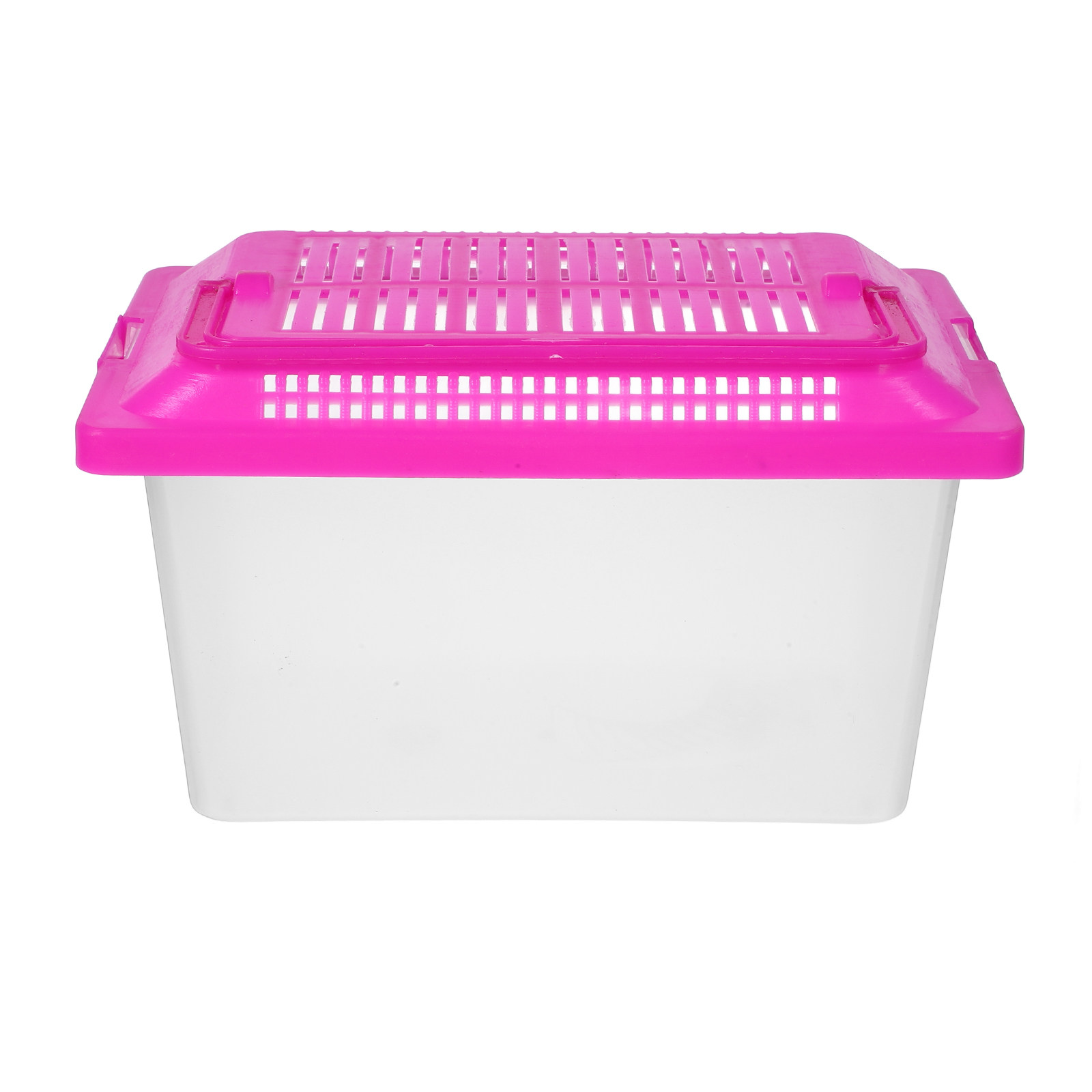 Box Fish In Aquarium - Boîte de transport portable transparente pour