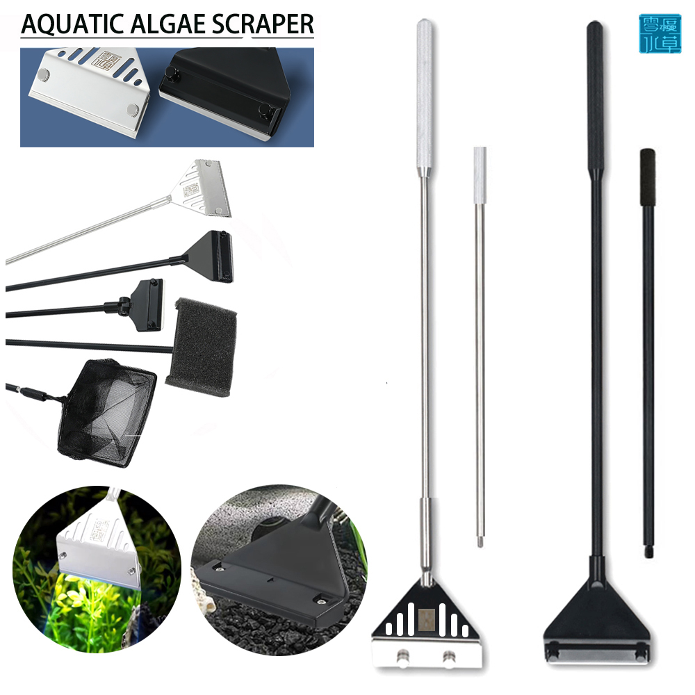 Algae Scraper Blade - Lame de grattoir d'algues précieuses pour