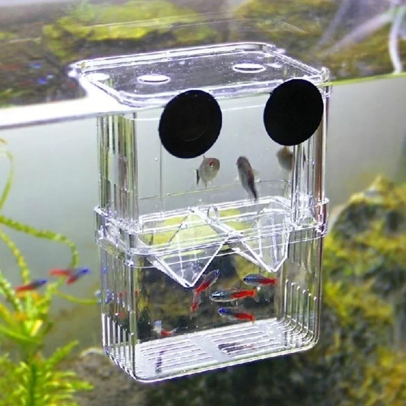 Live Fish Aquarium - Boîte d'isolation transparente pour Aquarium de