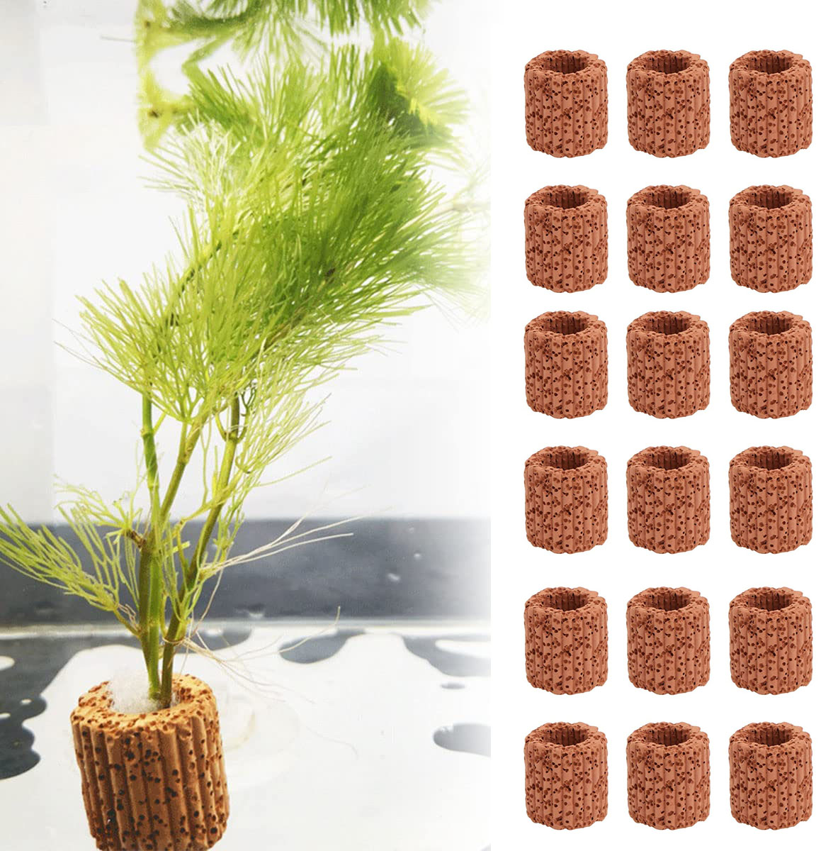 Aquarium Fish Cartoon - Anneau de Base pour Plantes Aquatiques
