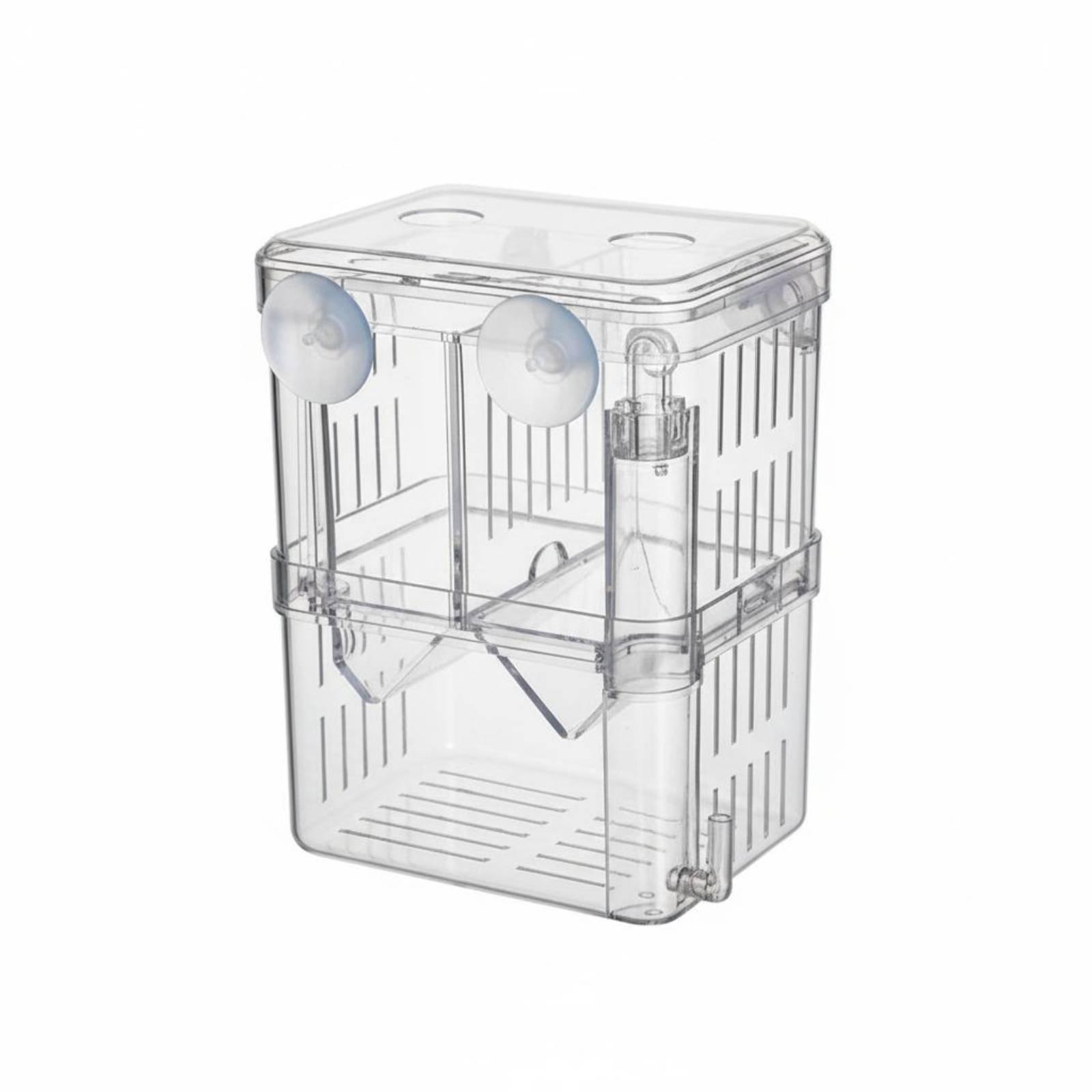 Box Fish In Aquarium - Bac d'élevage double couche pour aquarium,