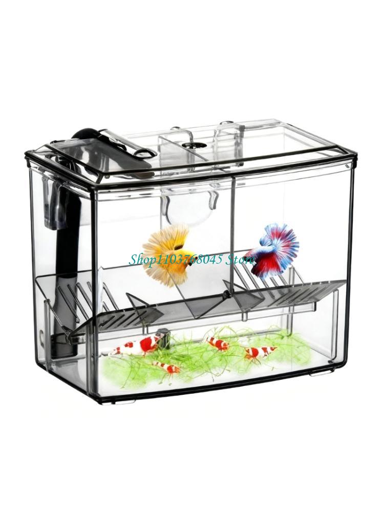 Box Fish In Aquarium - R53F réservoirs d'élevage externes pour Aquarium,