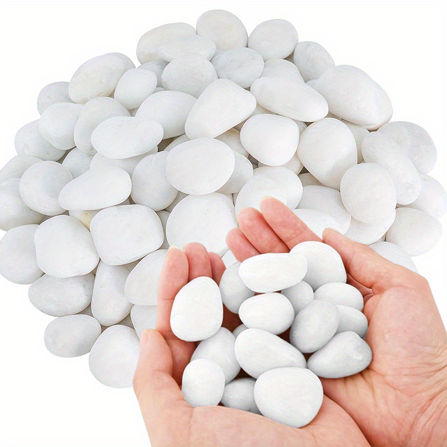 Aquarium Fish Types - Cerfsets naturels blancs hautement polis, 200/400g,