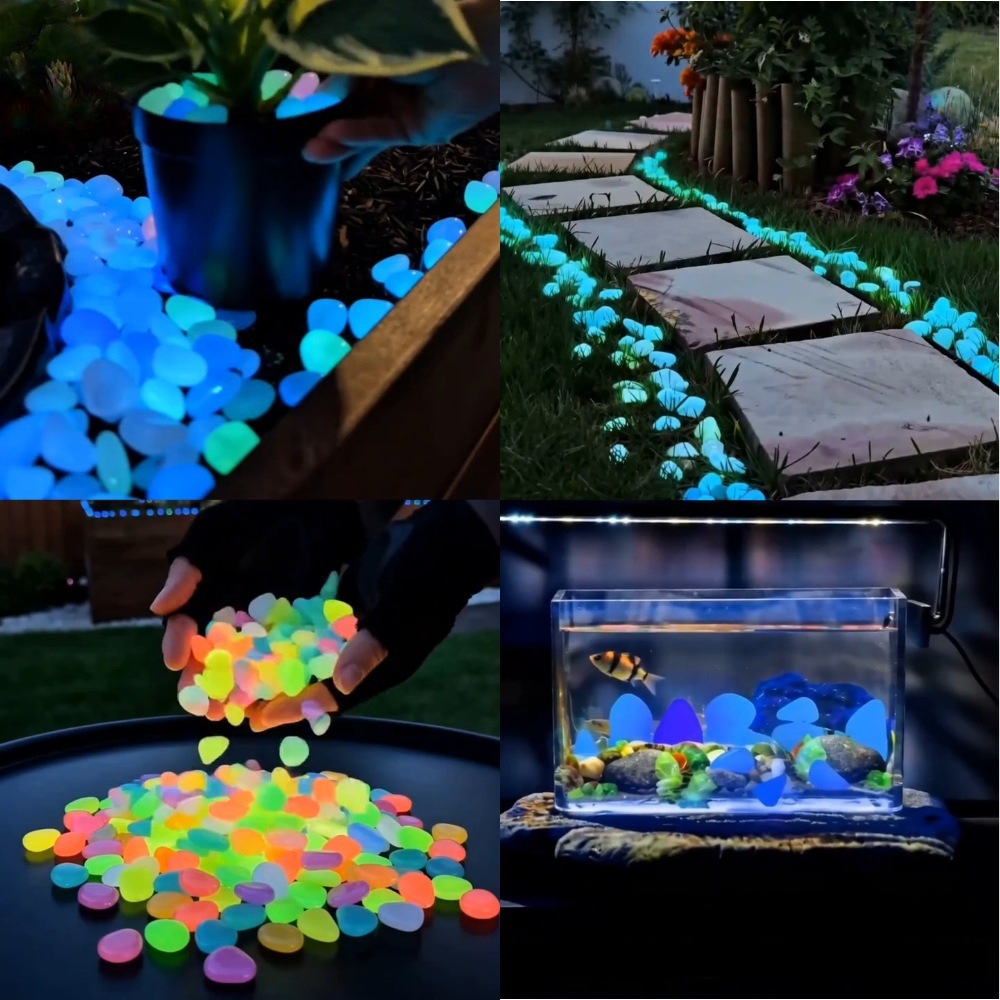 Aquarium Fish Cartoon - Galets lumineux colorés qui brillent dans
