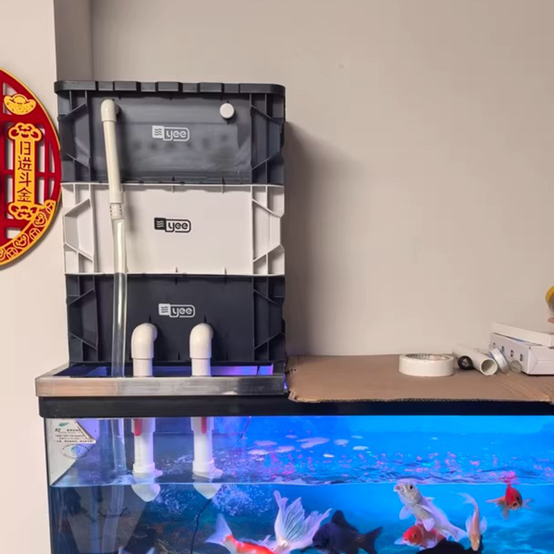 Box Fish In Aquarium - Filtres pour Aquarium, boîte de retournement