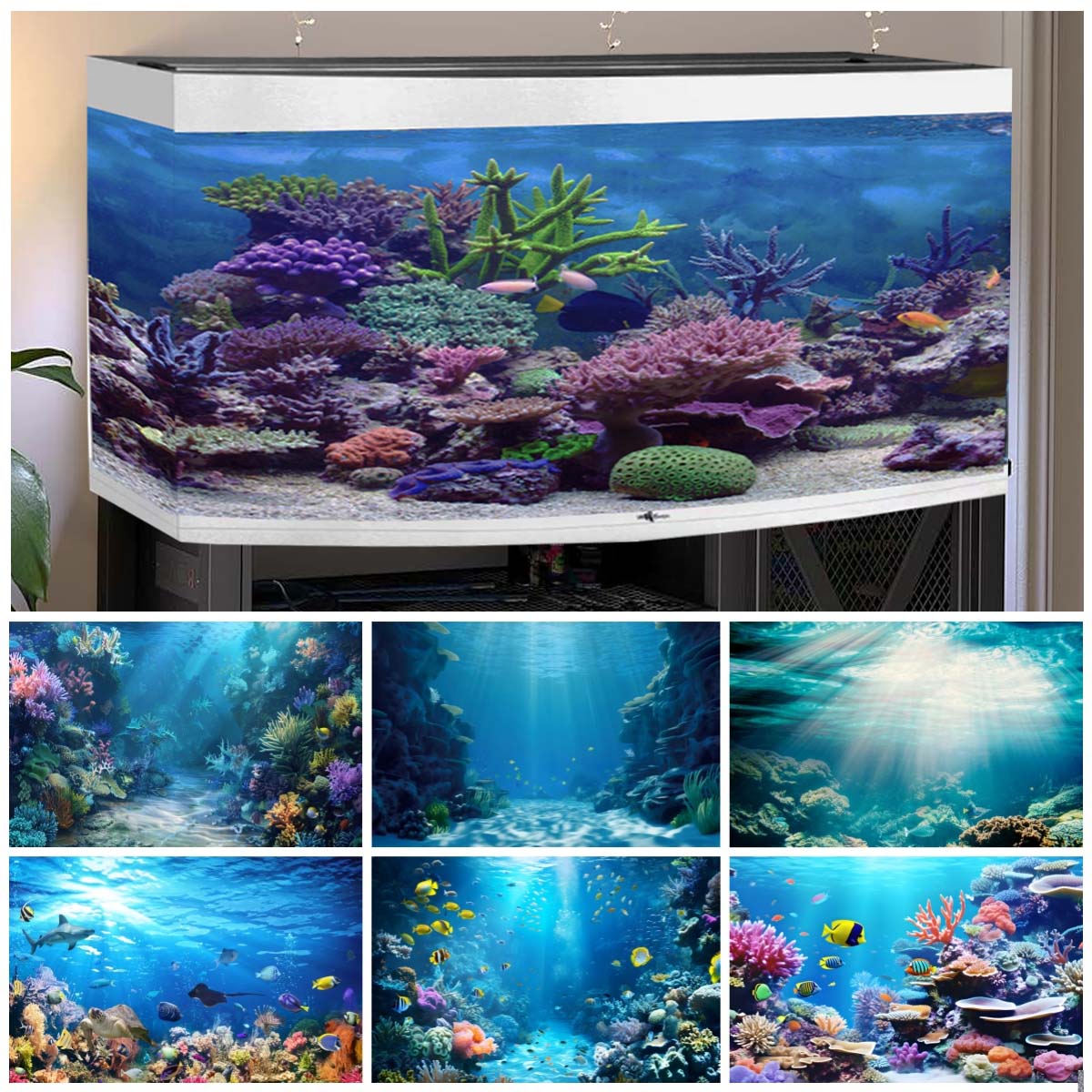 Aquarium Fish World - Arrière-plan du monde sous-marin pour photographies,