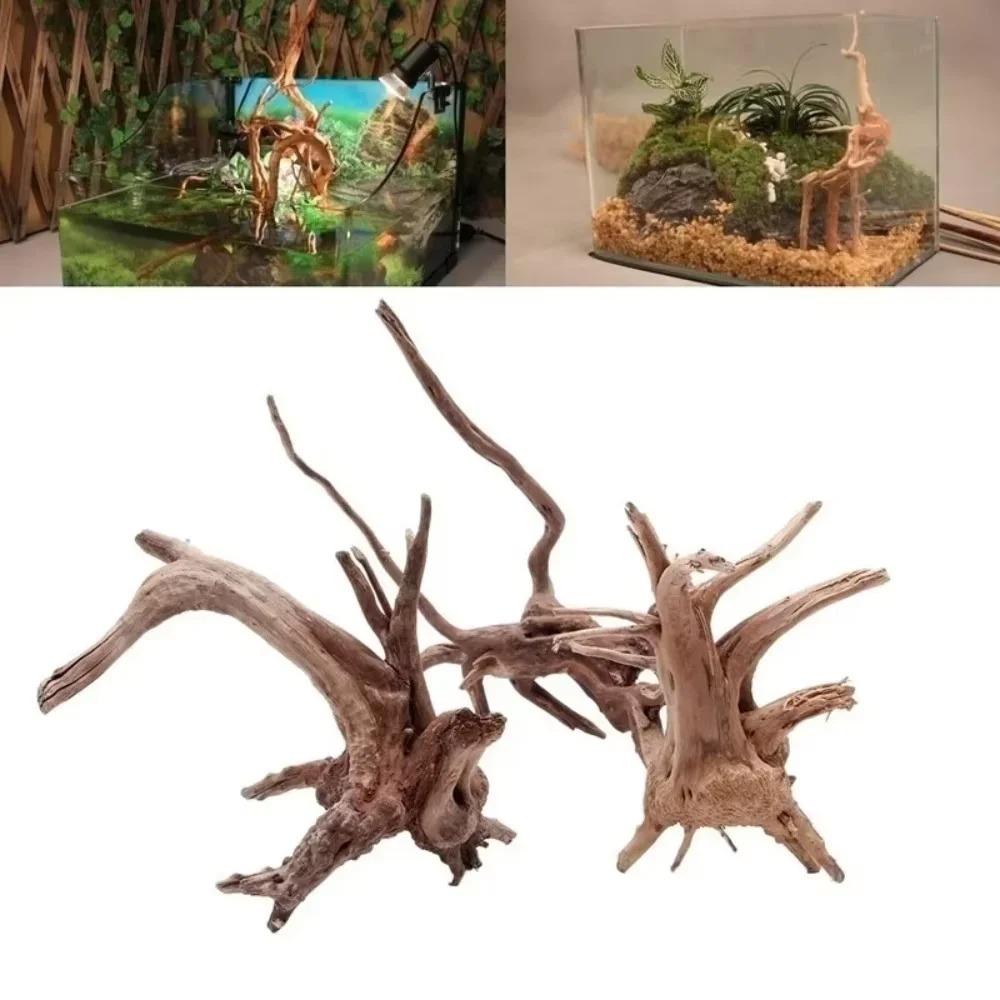 Aquarium Fish Types - Décoration d'aquarium en bois flotté naturel