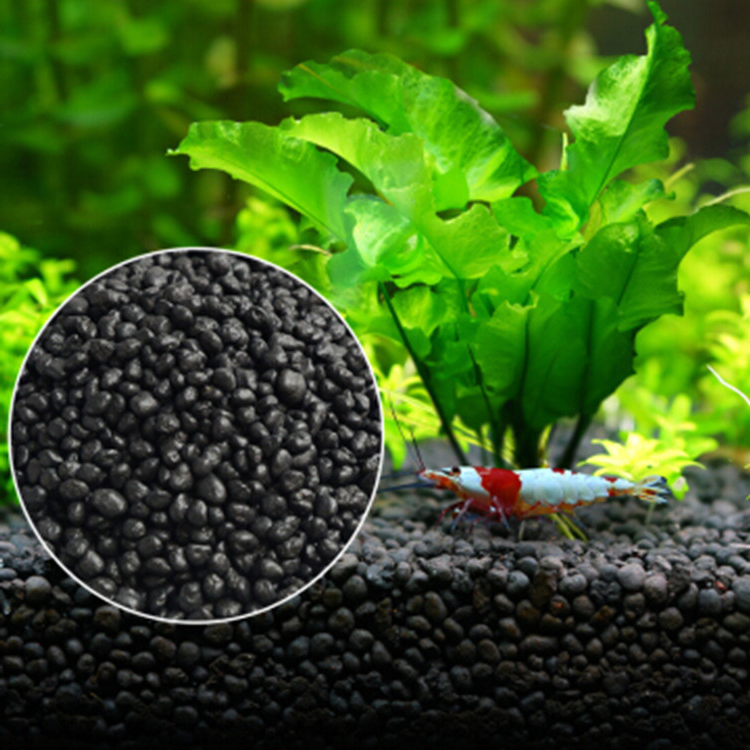 Aquarium Fish Types - Sol de graines de plantes d'aquarium,