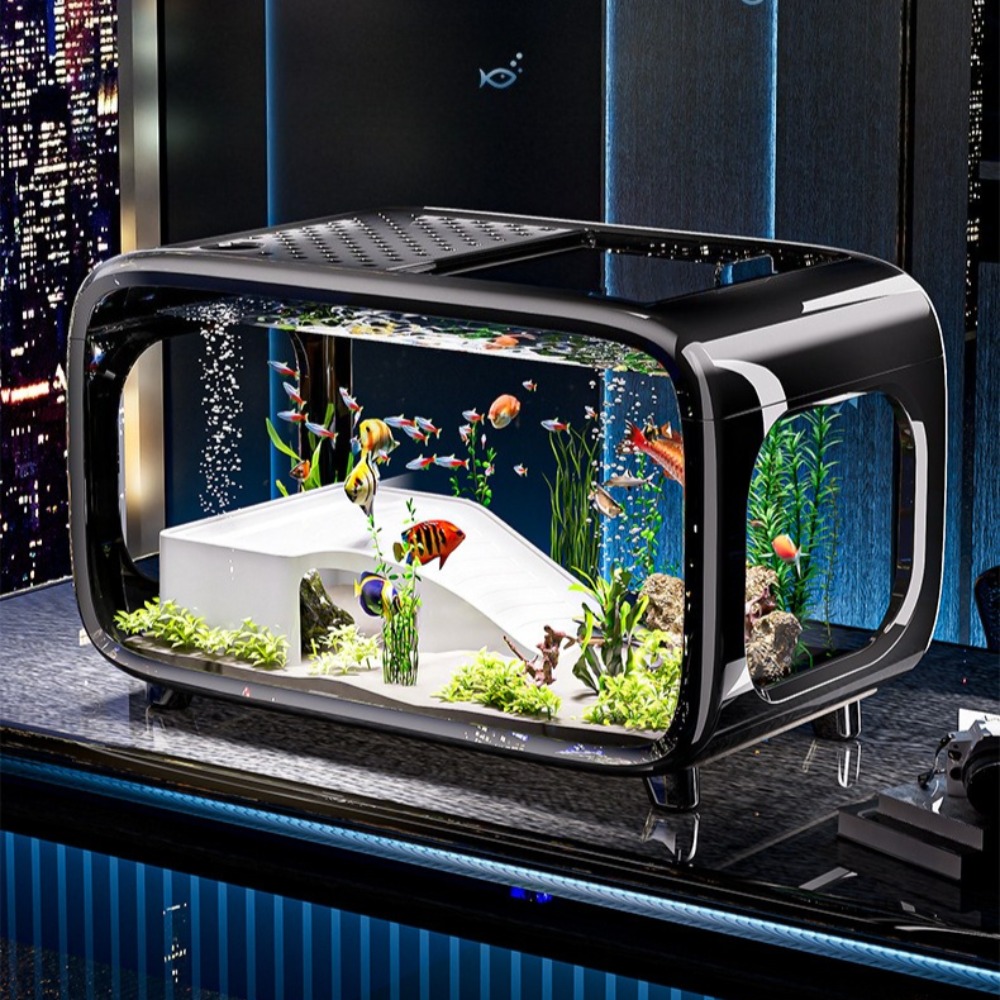 Aquarium Goldfish - Aquarium de luxe Transparent, décoration de