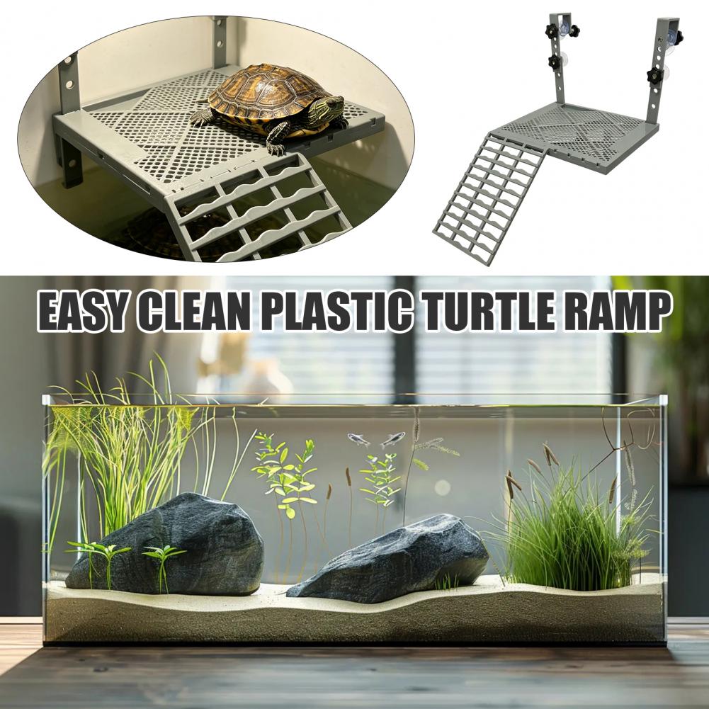 Aquarium Fish Types - Décoration d'aquarium, plateforme suspendue pour tortues
