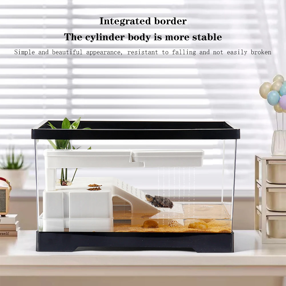 Box Fish In Aquarium - Grand aquarium Transparent pour tortues, avec