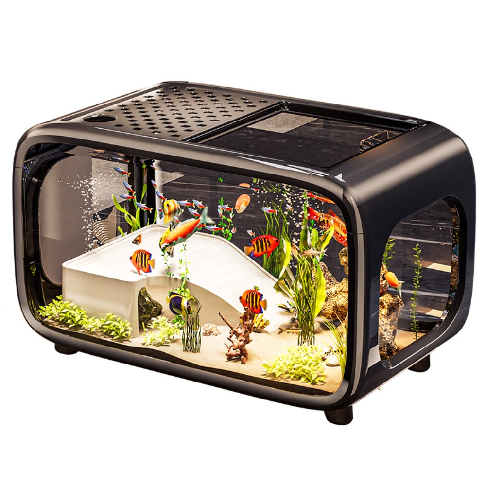 Live Fish Aquarium - Aquarium écologique transparent créatif avec couvercle,