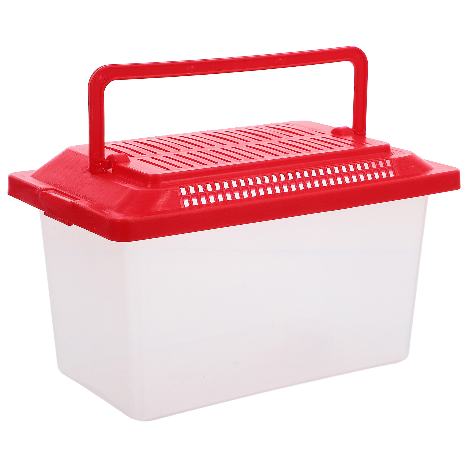 Box Fish In Aquarium - Support pour tortues à surface lisse,