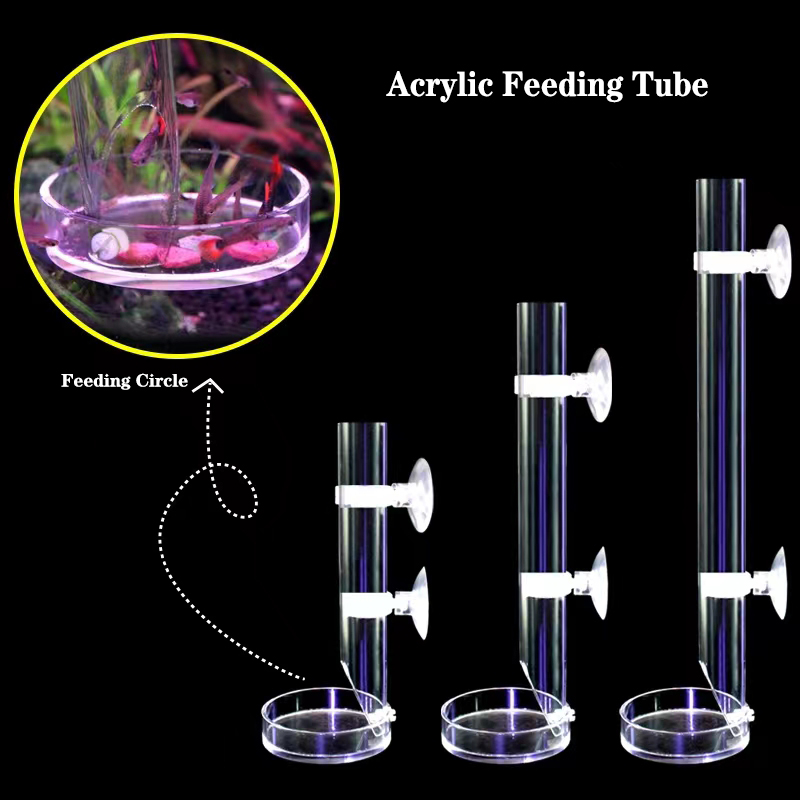 Aquarium Fish Holiday Food - Tube transparent en acrylique pour mangeoire