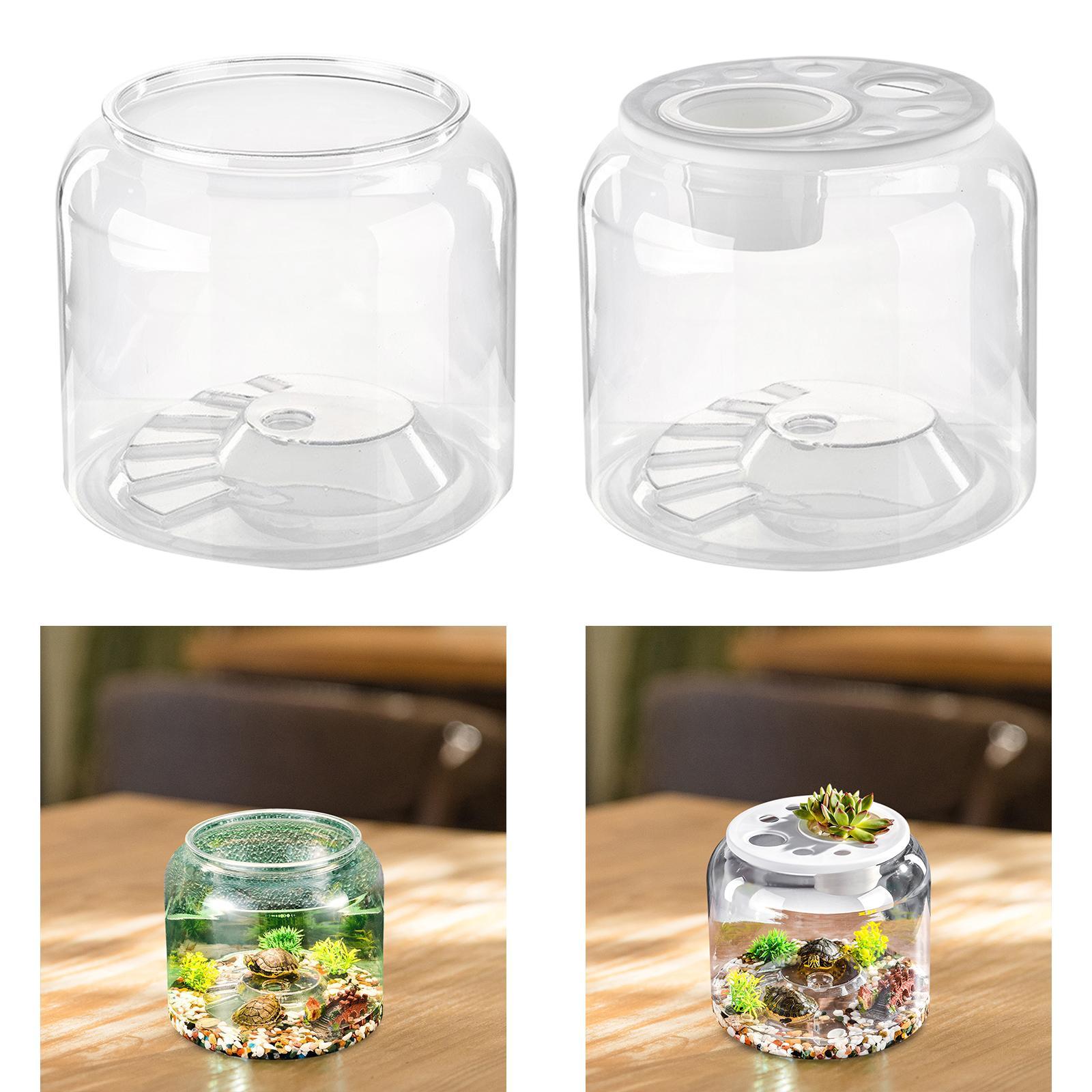 Draw Fish Aquarium - Aquarium tendance grande capacité transparent pour