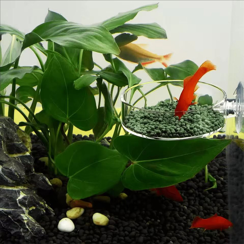 Aquarium Fish Holiday Food - Mangeoire à poissons transparente en acrylique