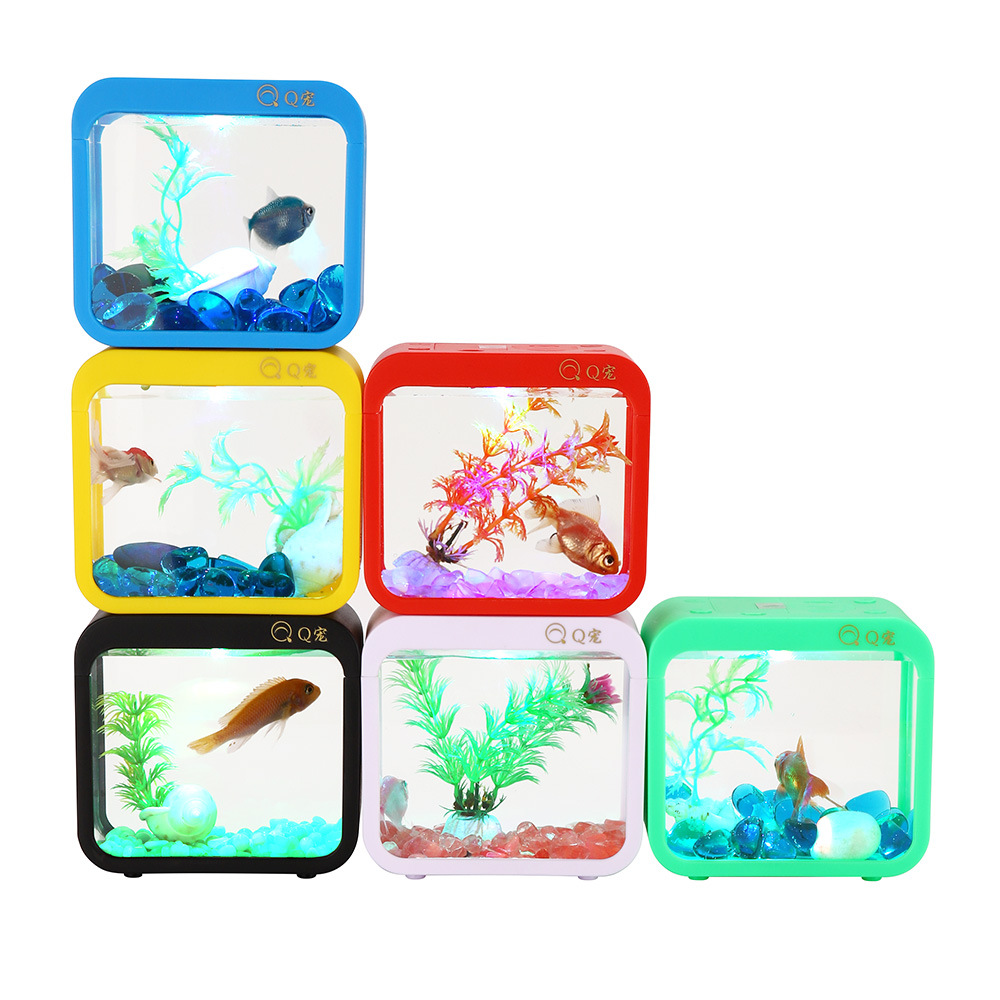 Boîte Betta créative colorée a - Aquarium Goldfish avis et prix