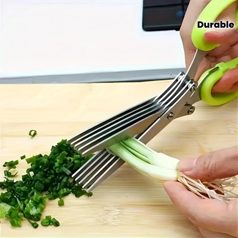 Ciseaux de cuisine en acier in - Algae Scraper Blade avis et prix