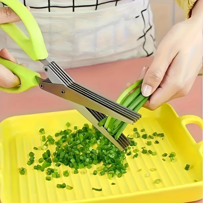 Ciseaux de cuisine en acier in - Algae Scraper Blade avis et prix