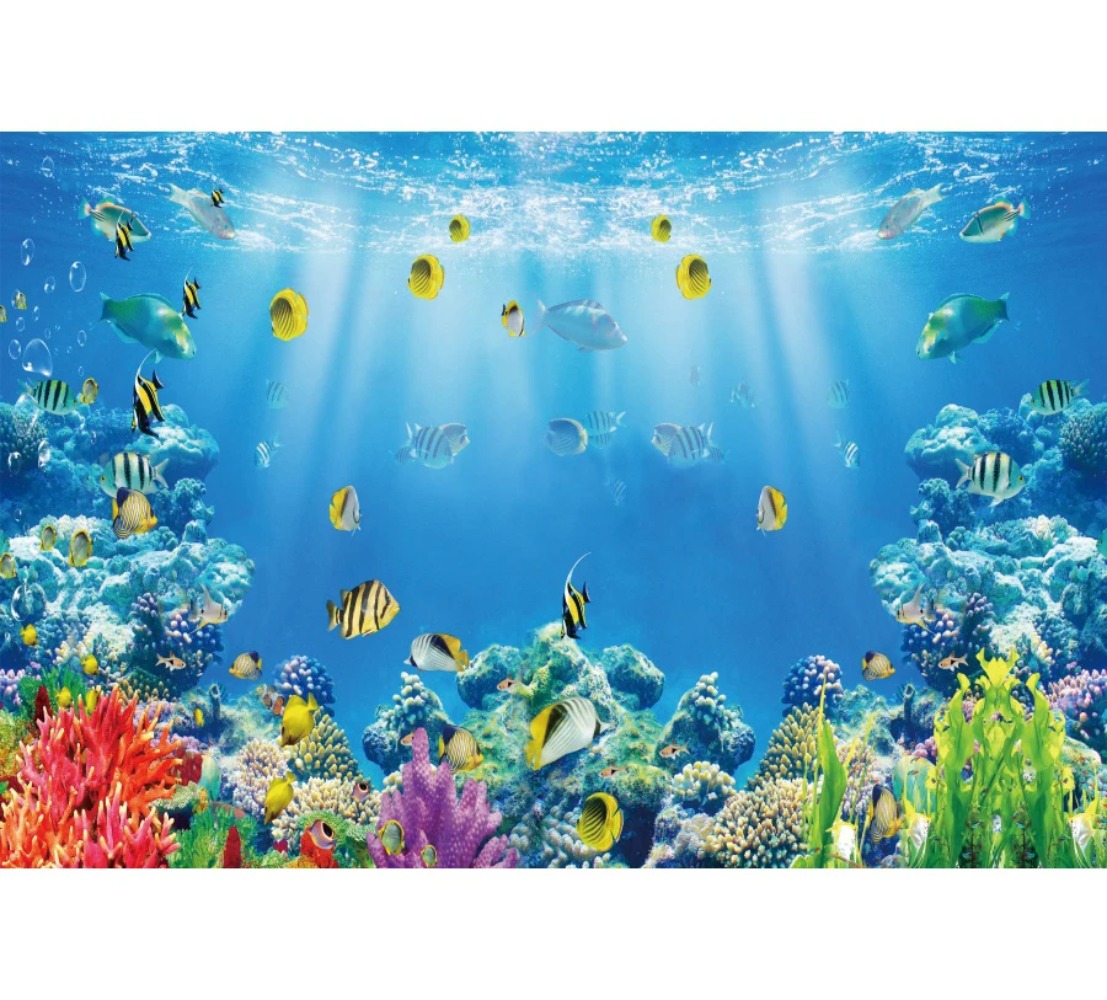 Toile de fond photographique s - Aquarium Fish World avis et prix