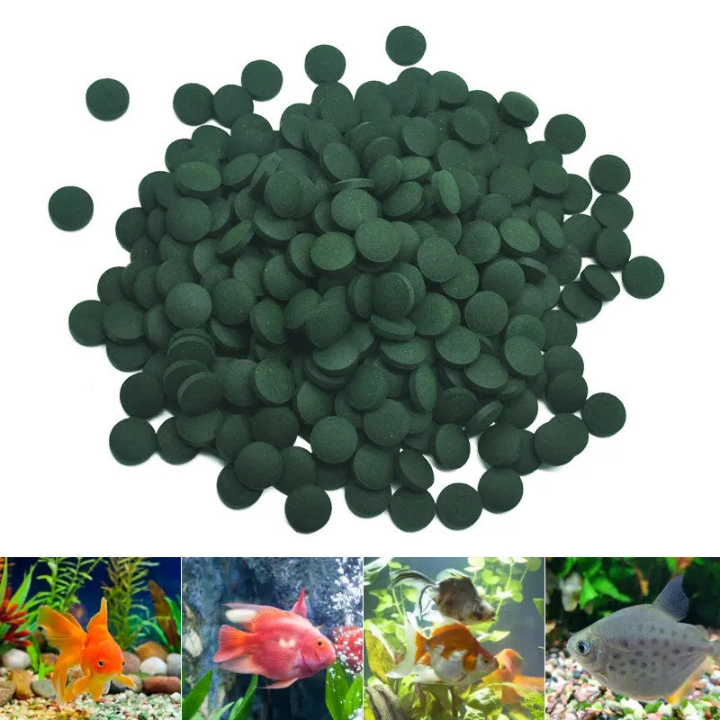 100-3000pc comprimés de spirul - Aquarium Fish Holiday Food avis et prix