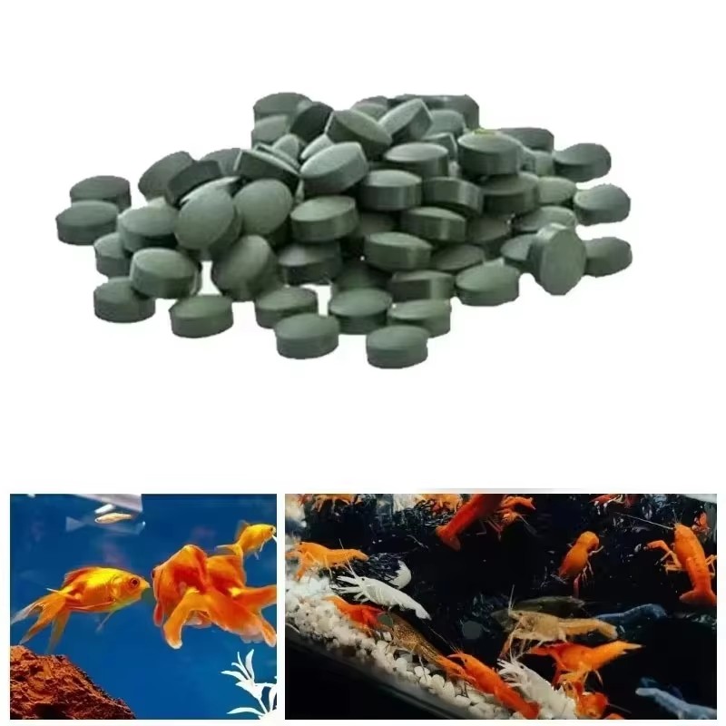 100-3000 comprimés de spirulin - Aquarium Fish Holiday Food avis et prix