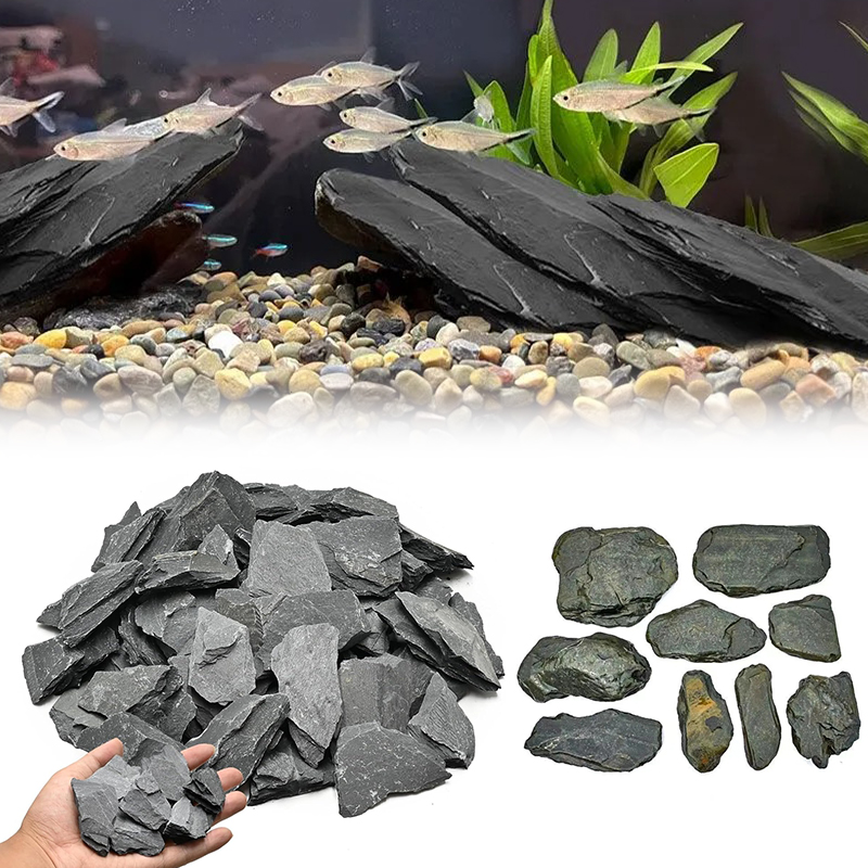 Kit de pierres paysagères pour - Aquarium Fish Types avis et prix