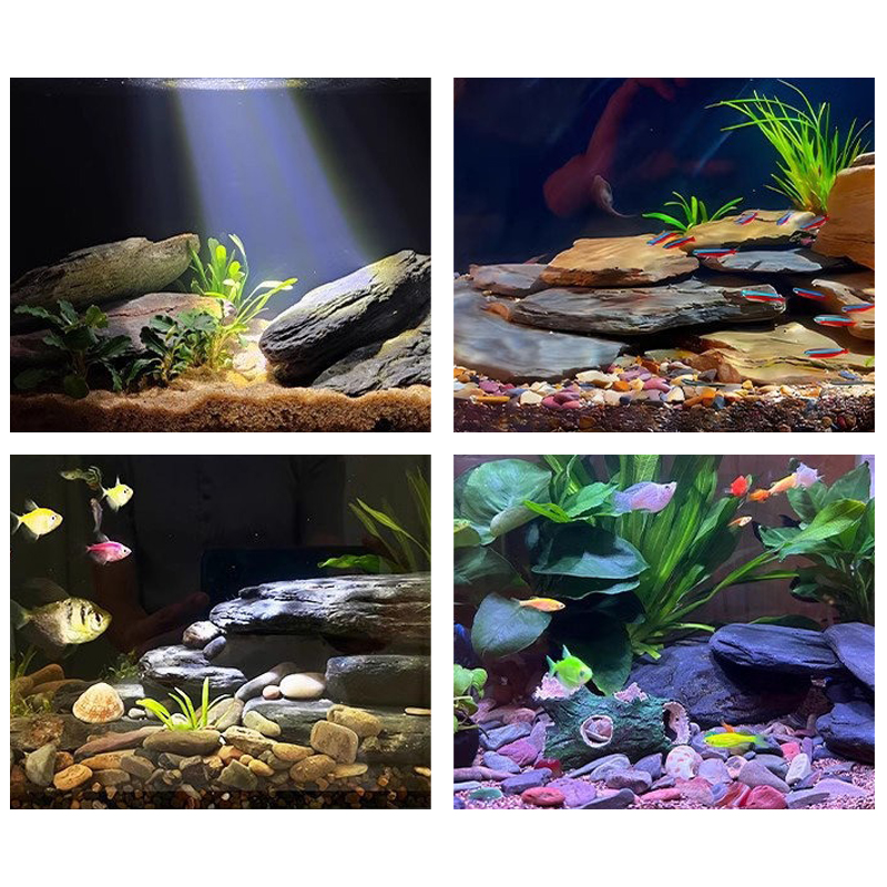 Kit de pierres paysagères pour - Aquarium Fish Types avis et prix