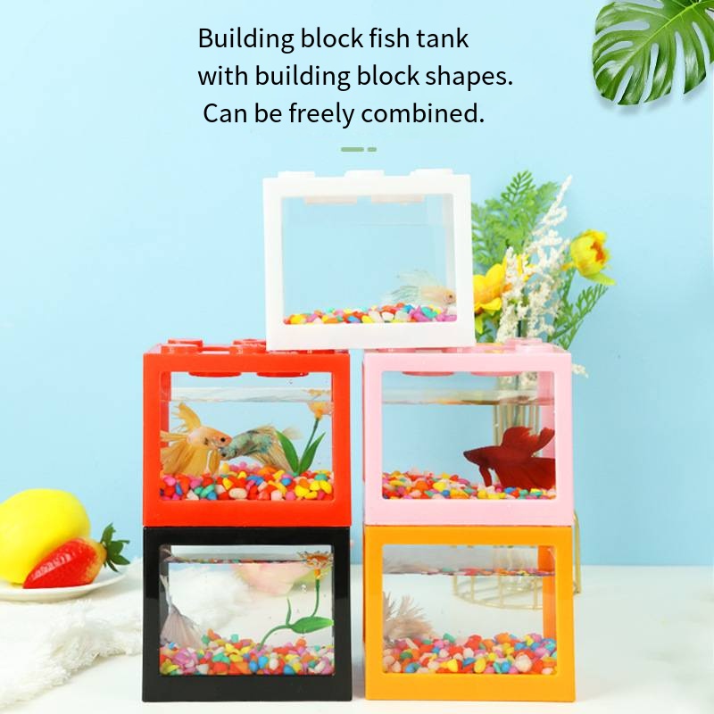 Nouveauté : Mini aquarium en f - Aquarium Goldfish avis et prix