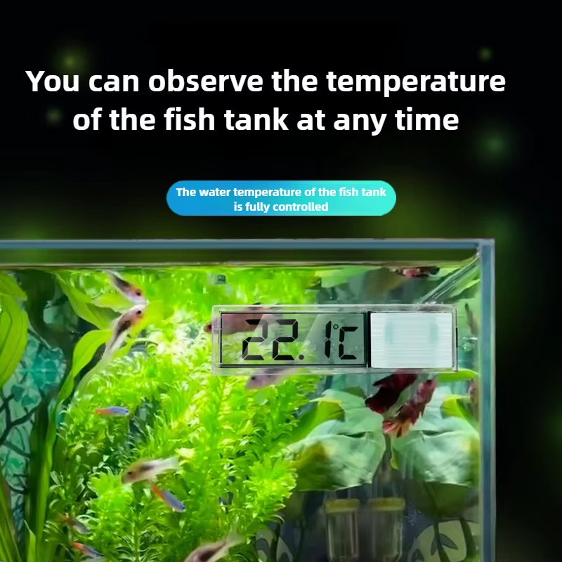 Thermomètre électronique numér - Aquarium Goldfish avis et prix