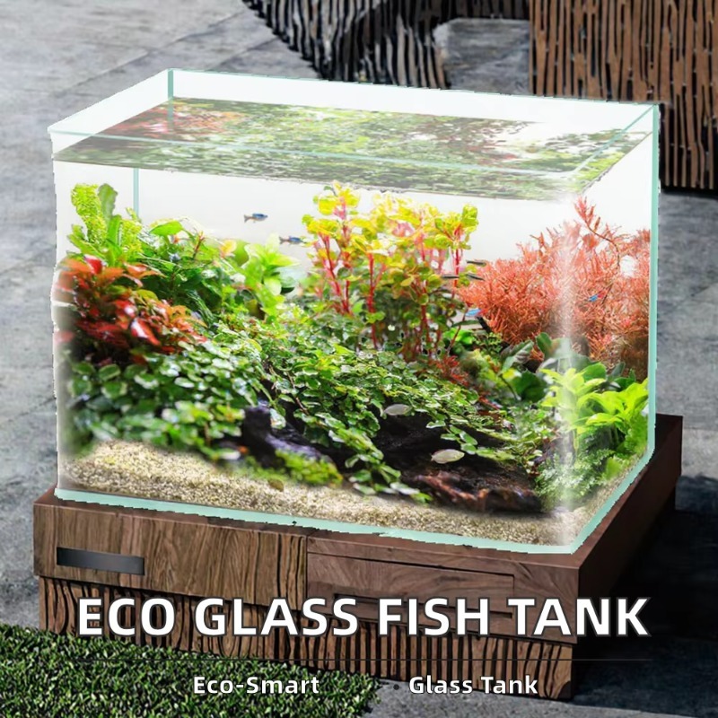 Boîte d'emballage pour Aquariu - Box Fish In Aquarium avis et prix