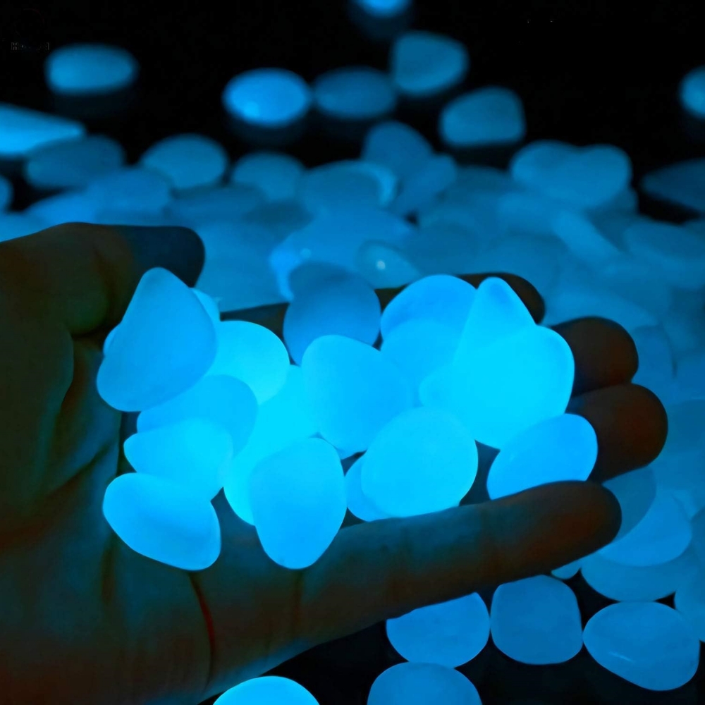 Pochoir de roches précieuses d - Aquarium Fish Glow In The Dark avis et prix