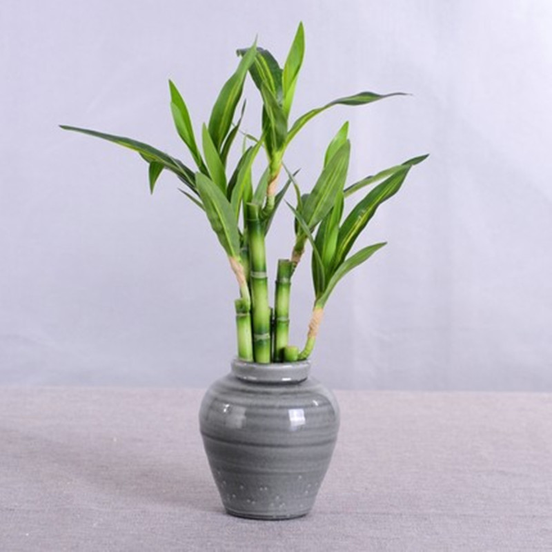 Nouveau 40cm rFtificial chance - Aquarium Fish Types avis et prix