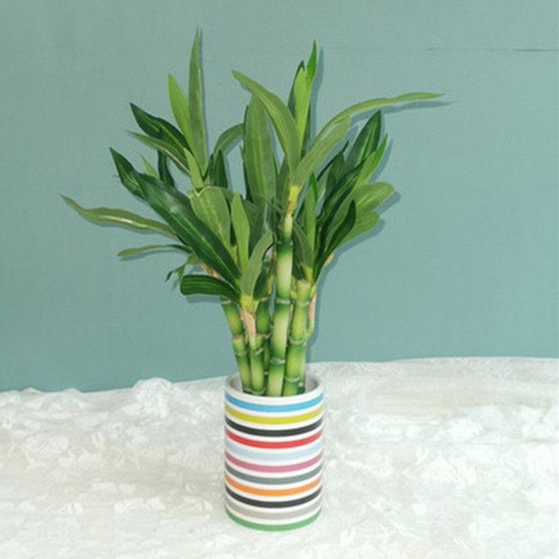 Nouveau 40cm rFtificial chance - Aquarium Fish Types avis et prix