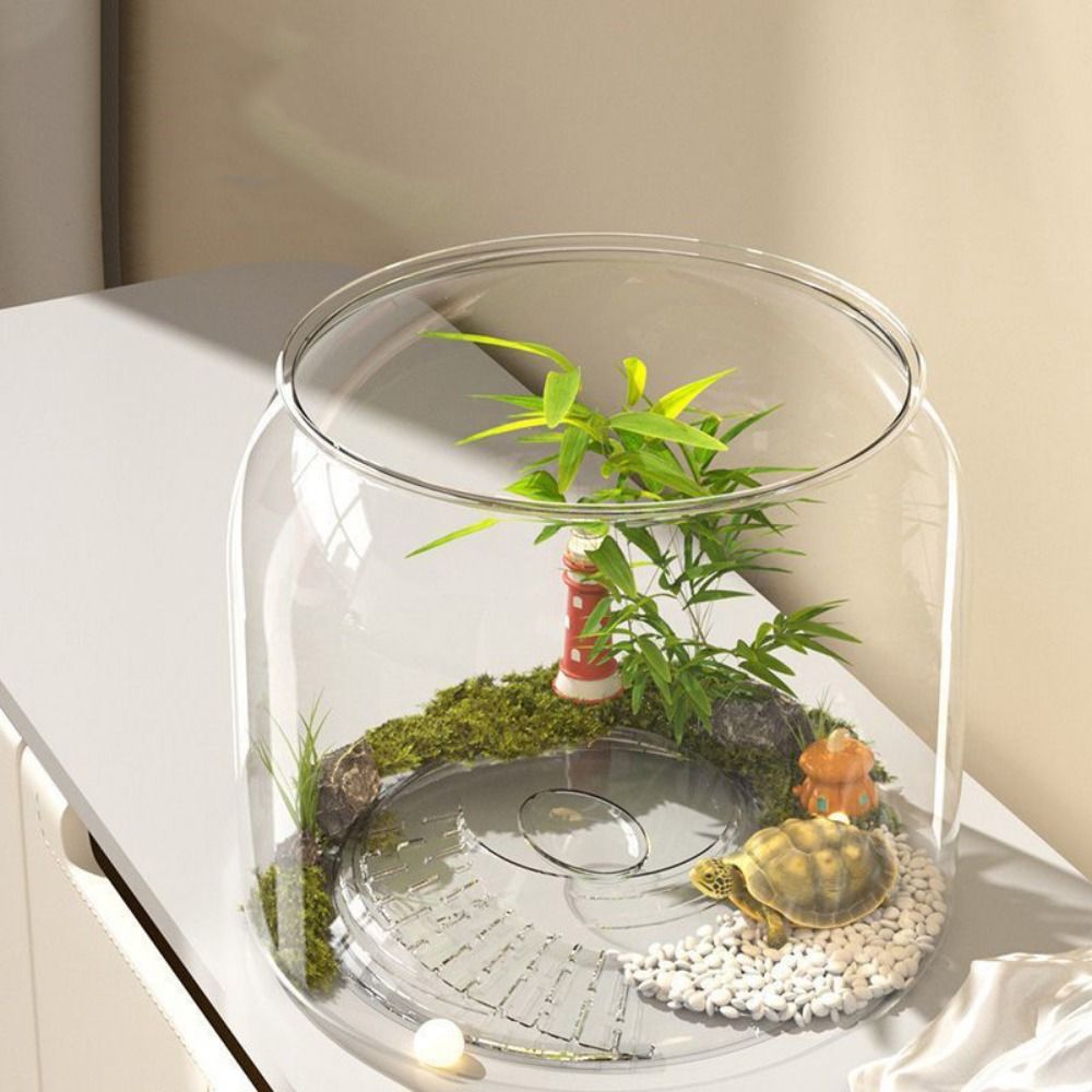 Aquarium Rond Transparent Anti - Live Fish Aquarium avis et prix