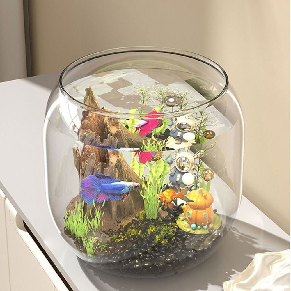 Aquarium Rond Transparent Anti - Live Fish Aquarium avis et prix