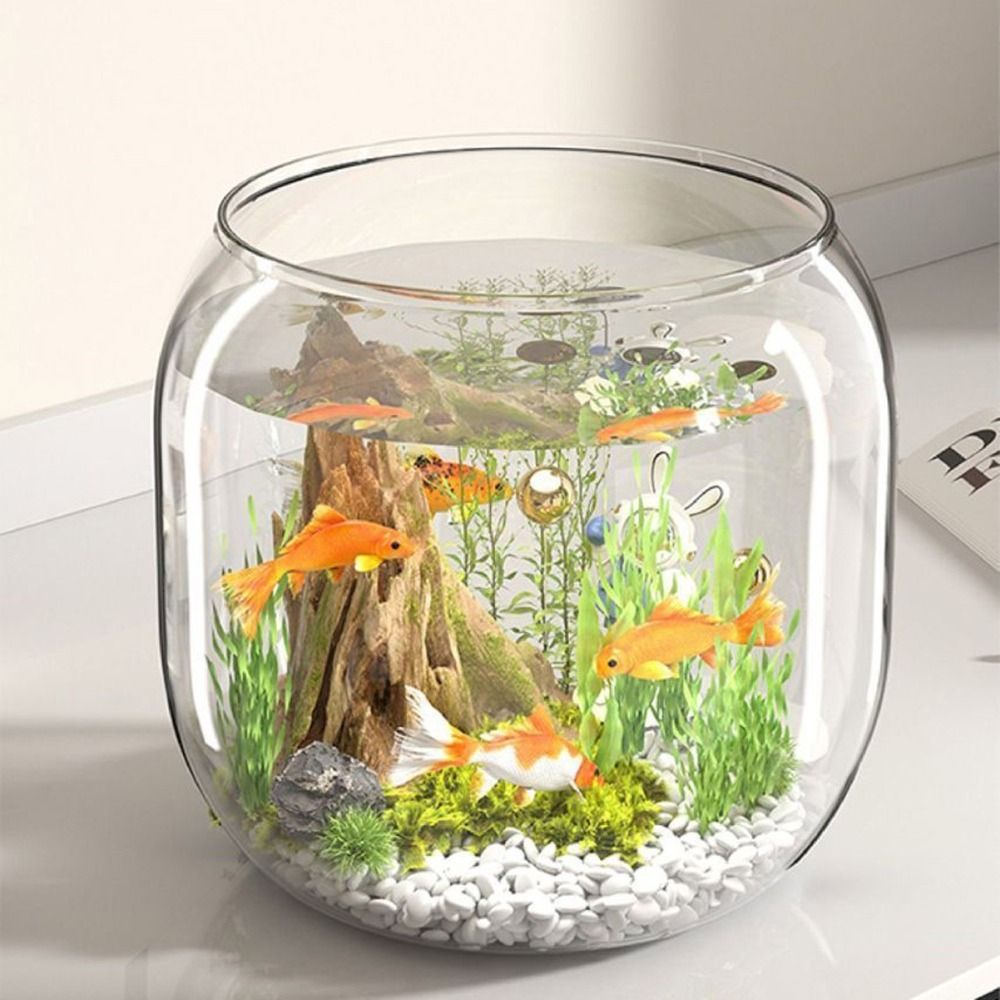 Aquarium Rond Transparent Anti - Live Fish Aquarium avis et prix