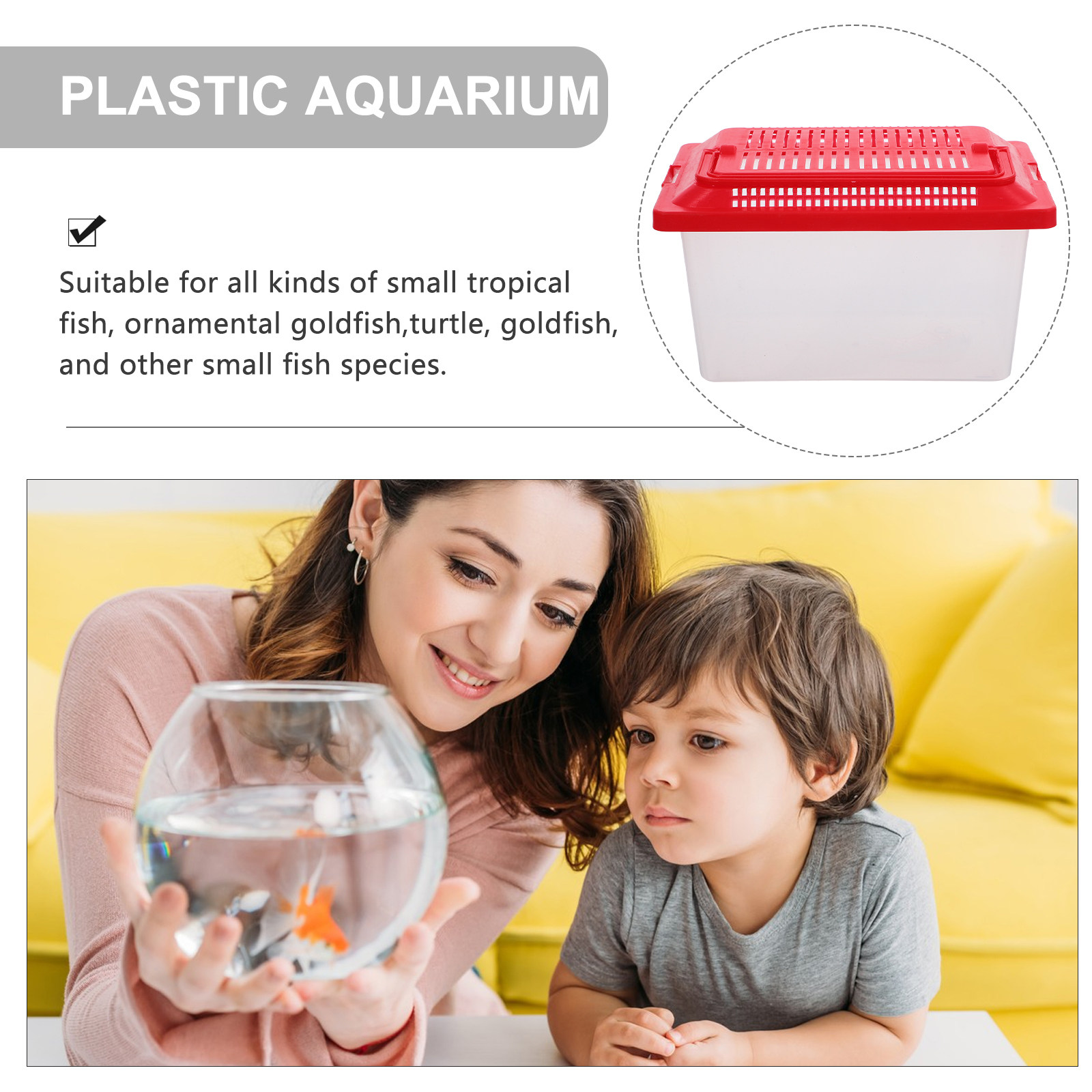 Boîte de transport portable tr - Box Fish In Aquarium avis et prix