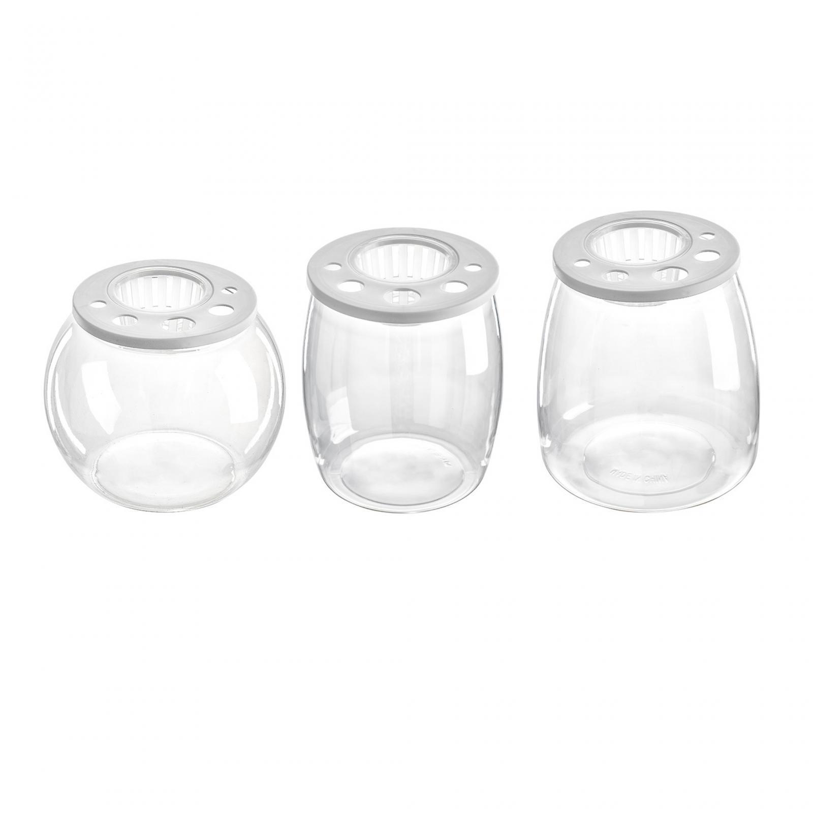 Aquarium de bureau transparent - Draw Fish Aquarium avis et prix