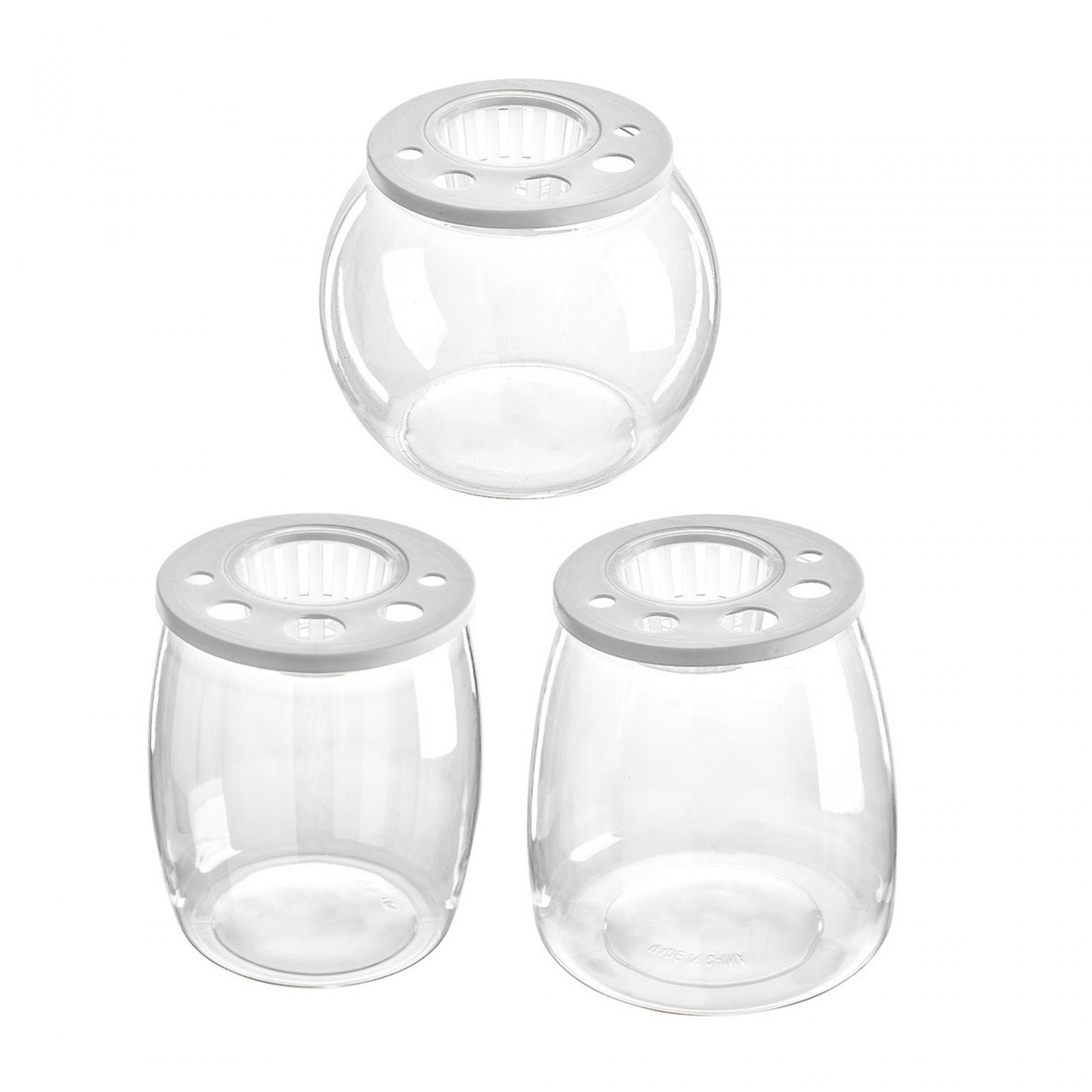 Aquarium de bureau transparent - Draw Fish Aquarium avis et prix