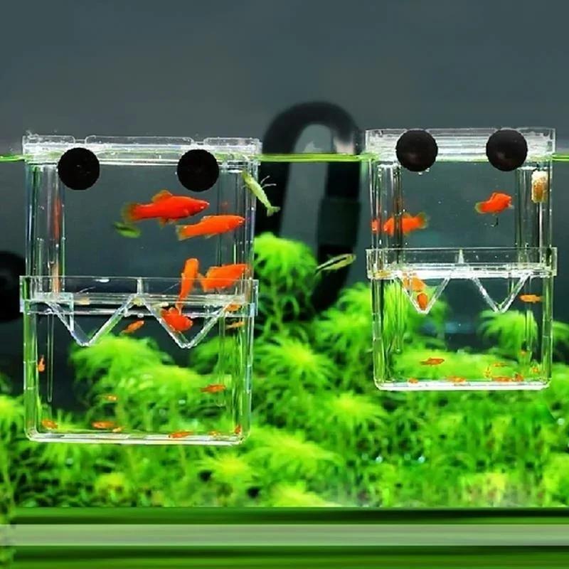 Boîte d'isolation transparente - Live Fish Aquarium avis et prix