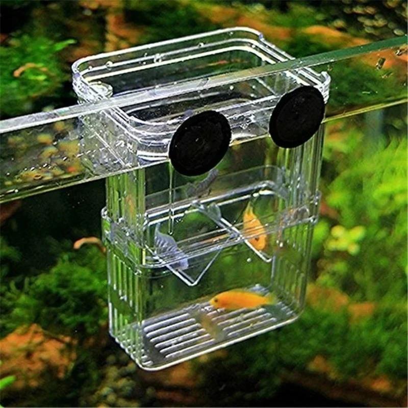 Boîte d'isolation transparente - Live Fish Aquarium avis et prix