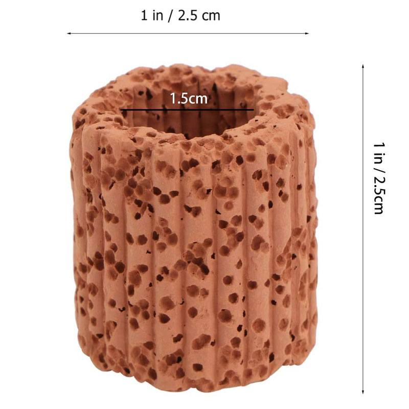 Anneau de Base pour Plantes Aq - Aquarium Fish Cartoon avis et prix