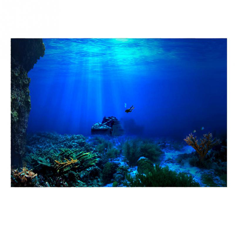 Peinture décorative de fond de - Aquarium Fish World avis et prix
