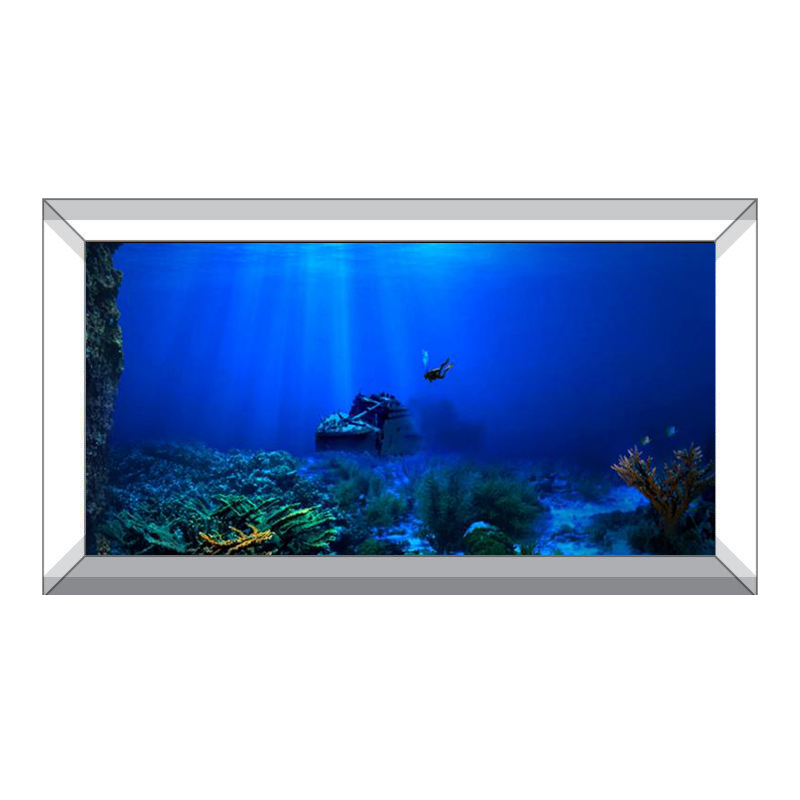 Peinture décorative de fond de - Aquarium Fish World avis et prix